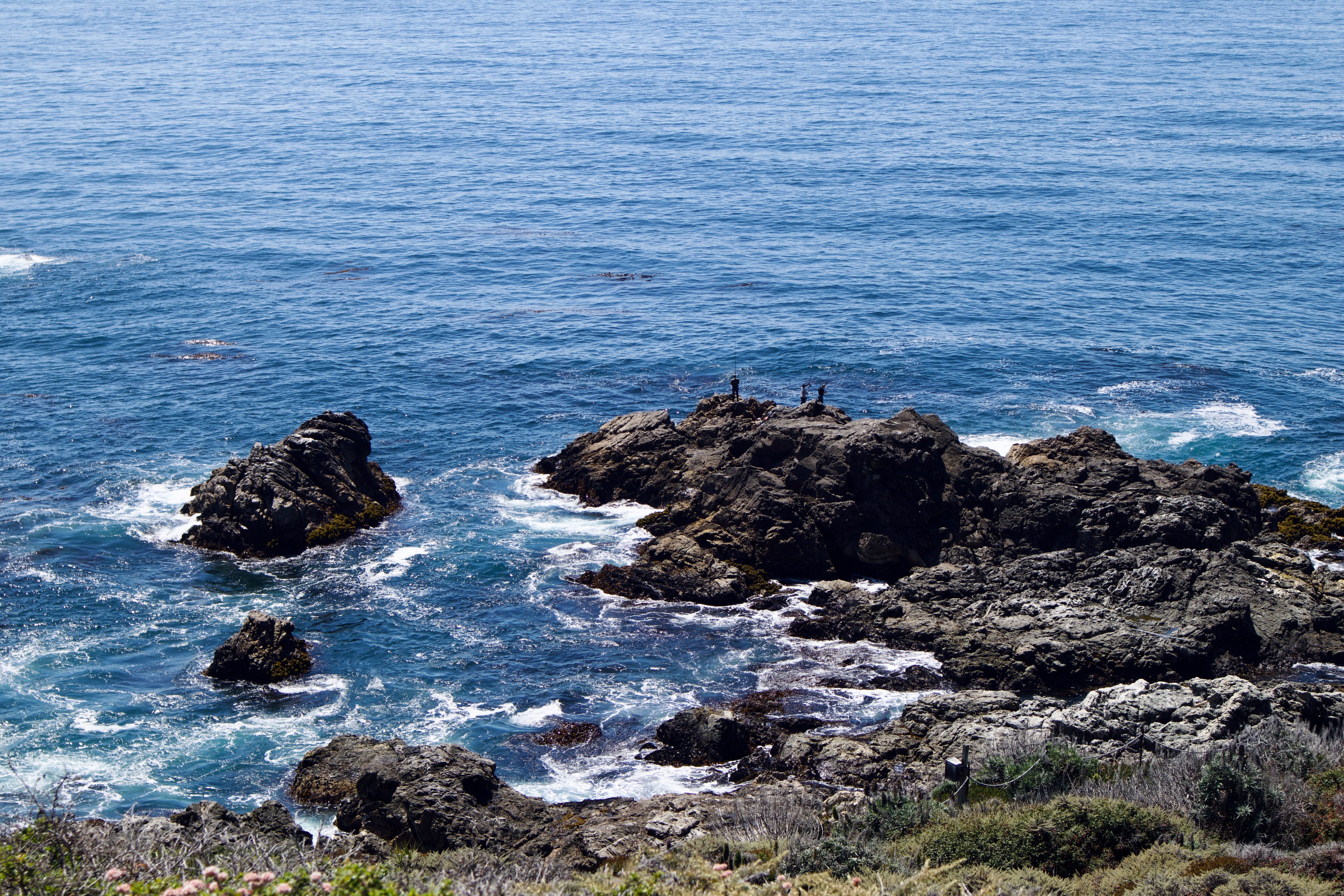 Went to Big Sur with my boyfriend. He drove, I was in charge of the music.