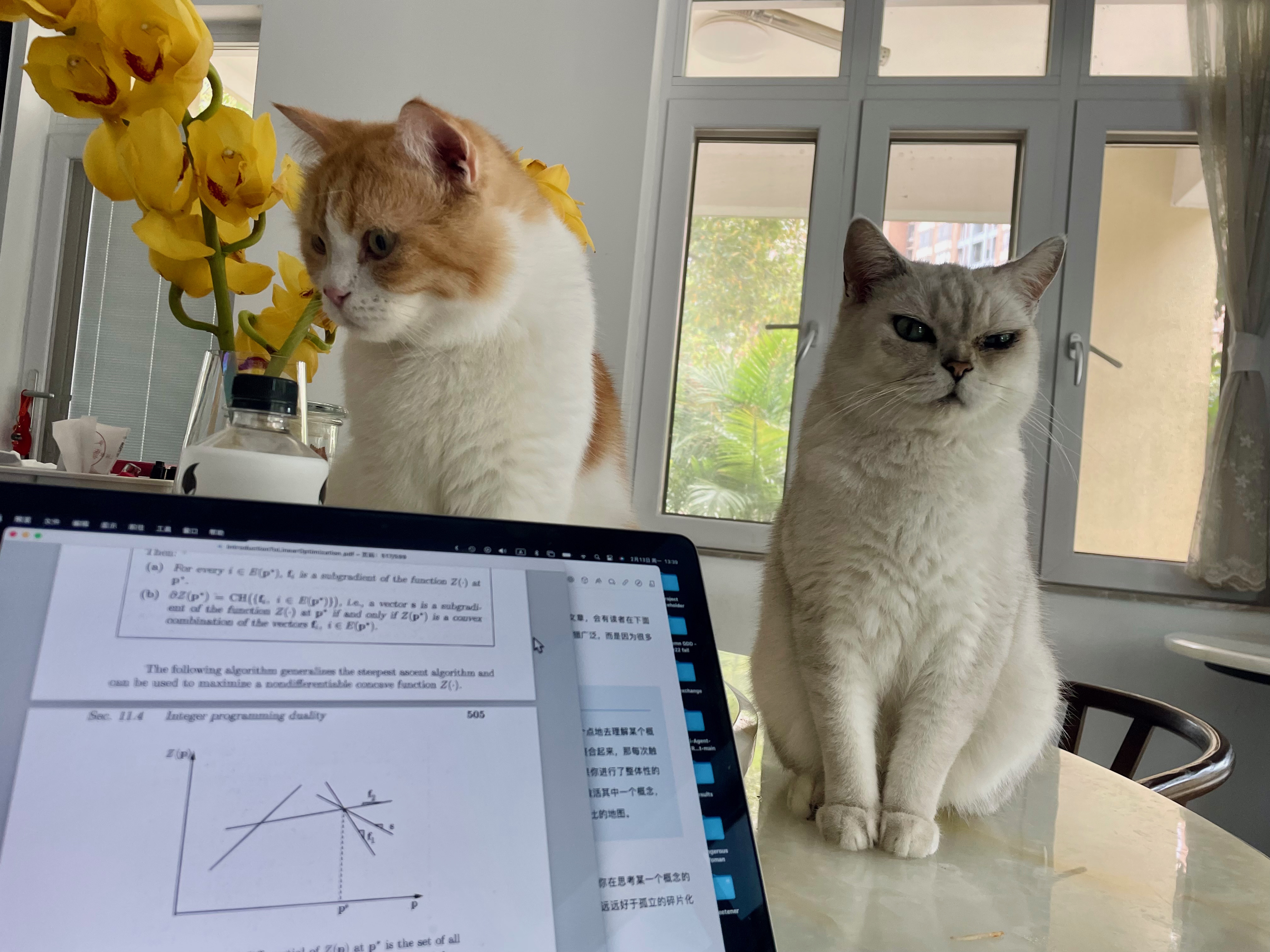 It&rsquo;s outrageus that professor Dong Dong Ge left us winter holiday assignments for the linear-and-nonlinear-programming course. Come on! But since I have my cats with me when I&rsquo;m coping with this shits, it&rsquo;s fine.