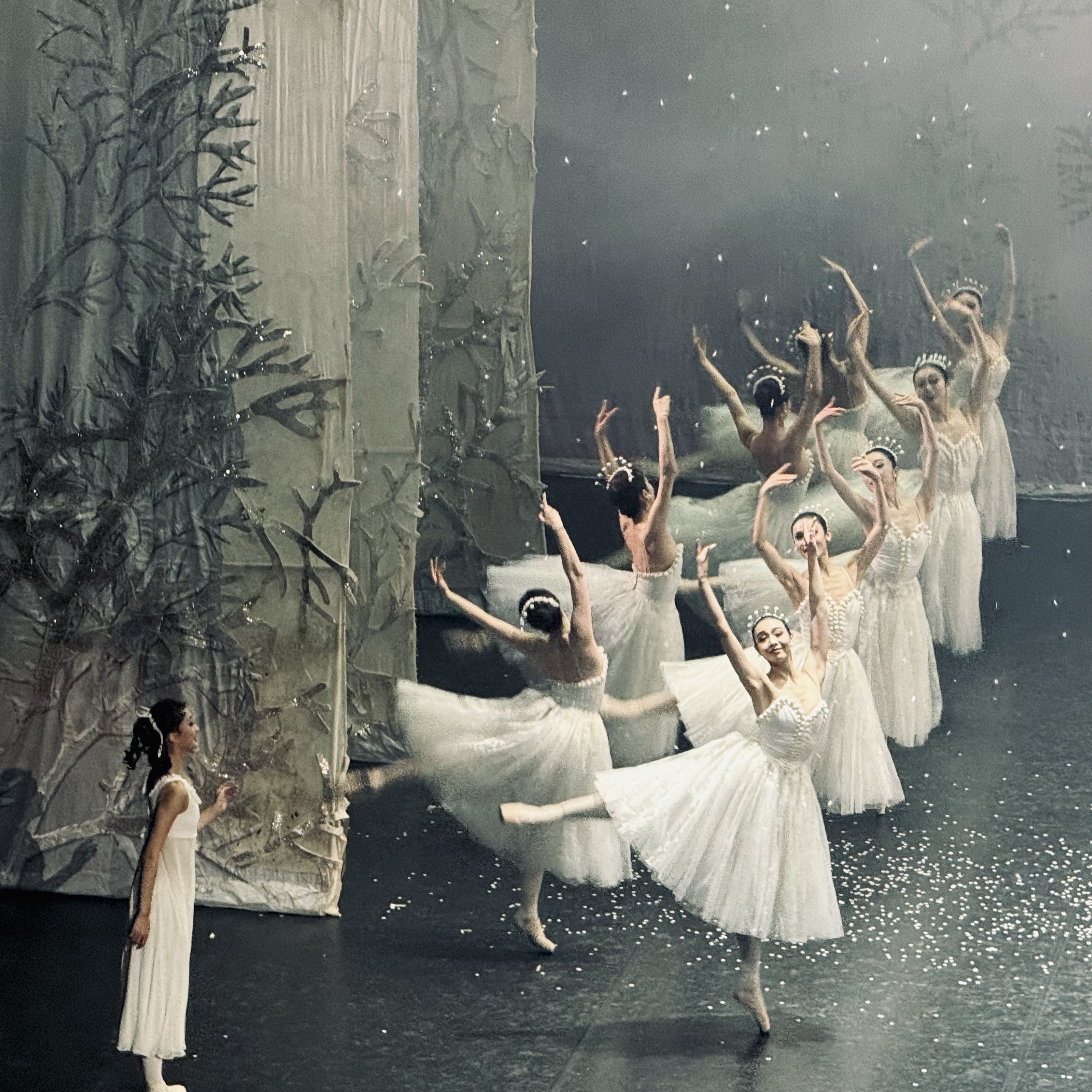 the waltz of the snowflakes