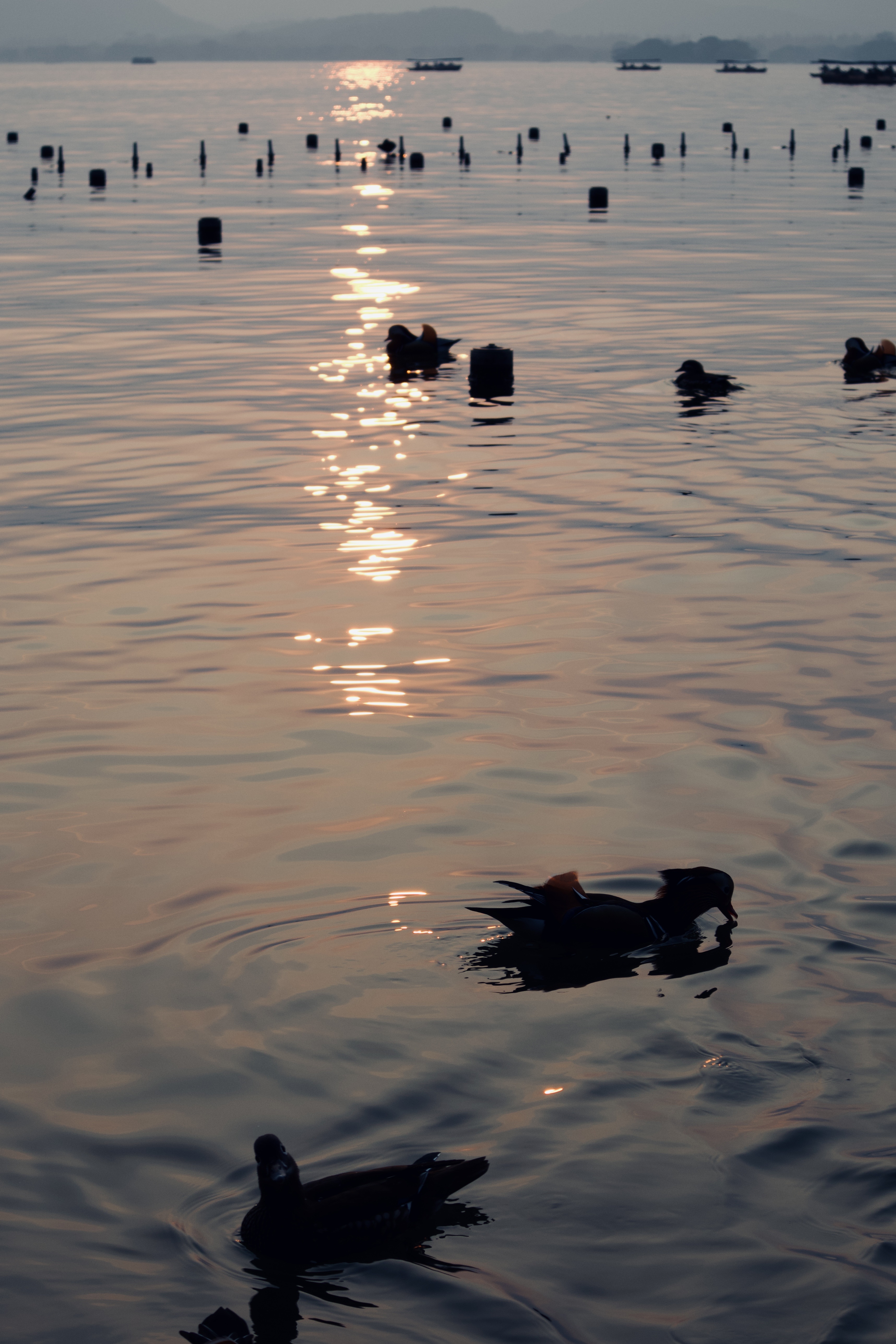 Jan. 5, 2025. Hangzhou, West Lake.